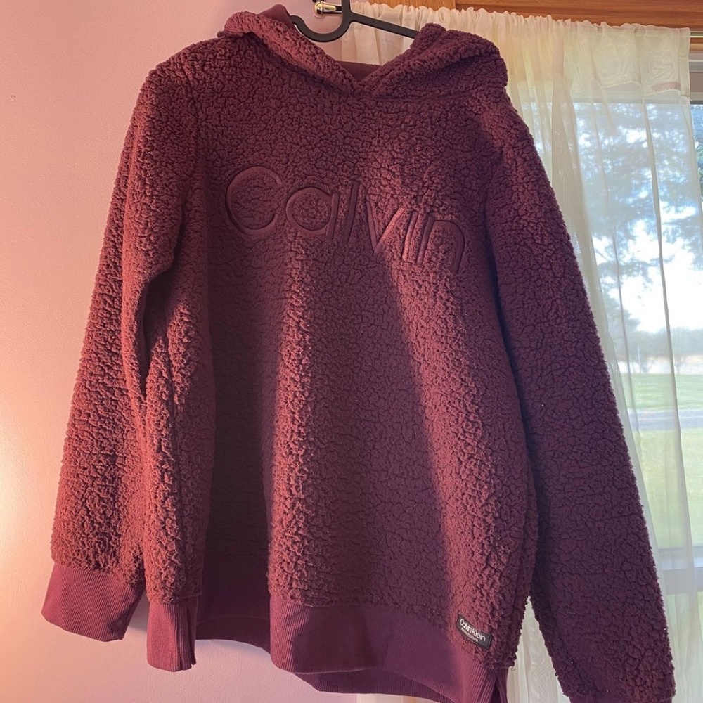 Calvin Klein Hoodie (size small)